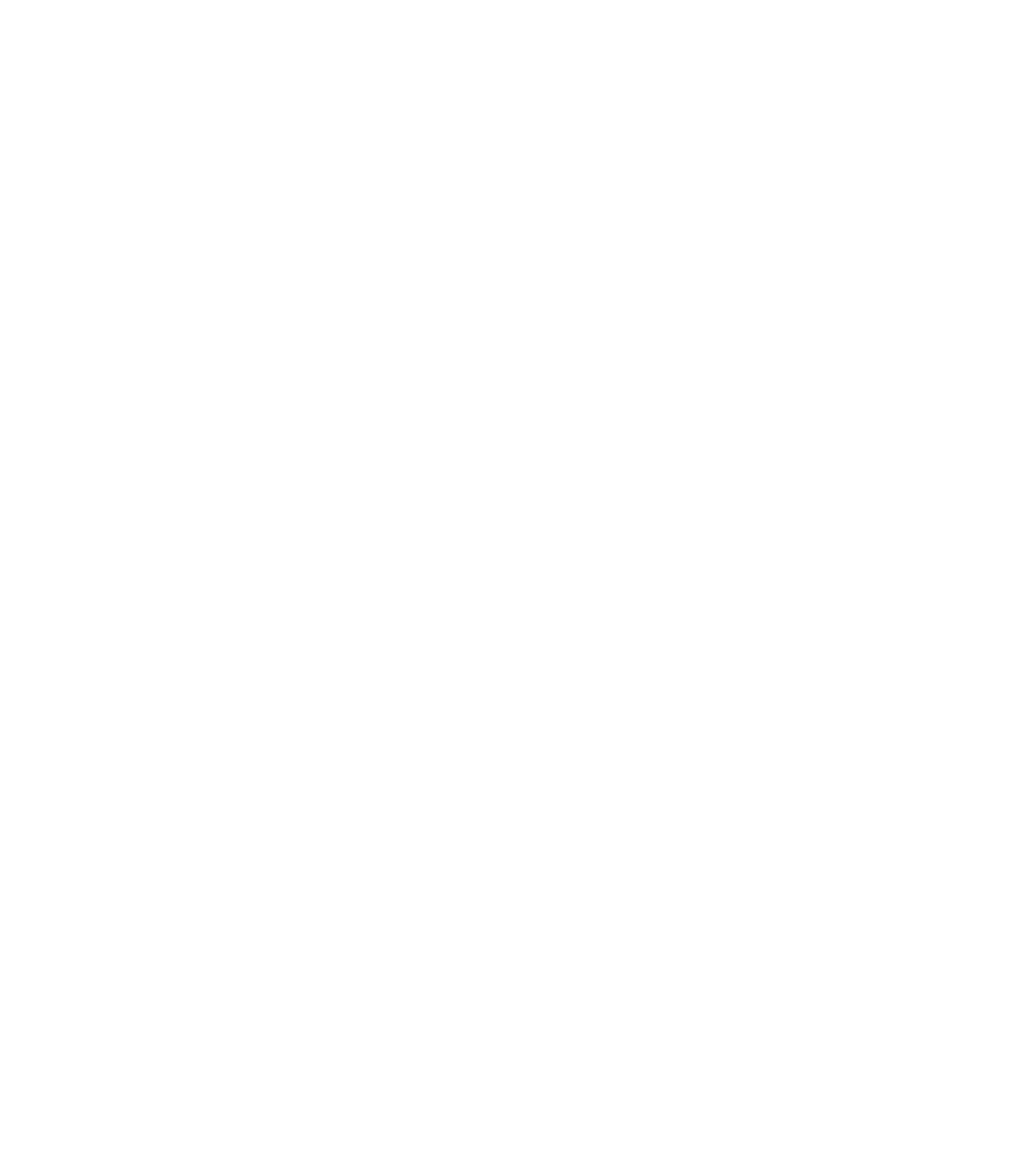 Hawk Racing Querétaro — Team identity